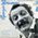 Les sabots d'Hlne - 4me srie
