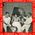 Les Stro's chantent pour vous - N1