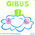 Gibus