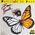 Papillon de jour