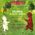 Colargol  7 - Colargol retrouve Nordine