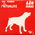 Un chien  la Mutualit