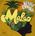 Malao