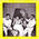 Les St�r�o's chantent pour vous - N�2
