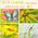 Si on chantait... n3 les insectes
