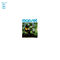 Troisime album