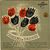 Chansons de toujours